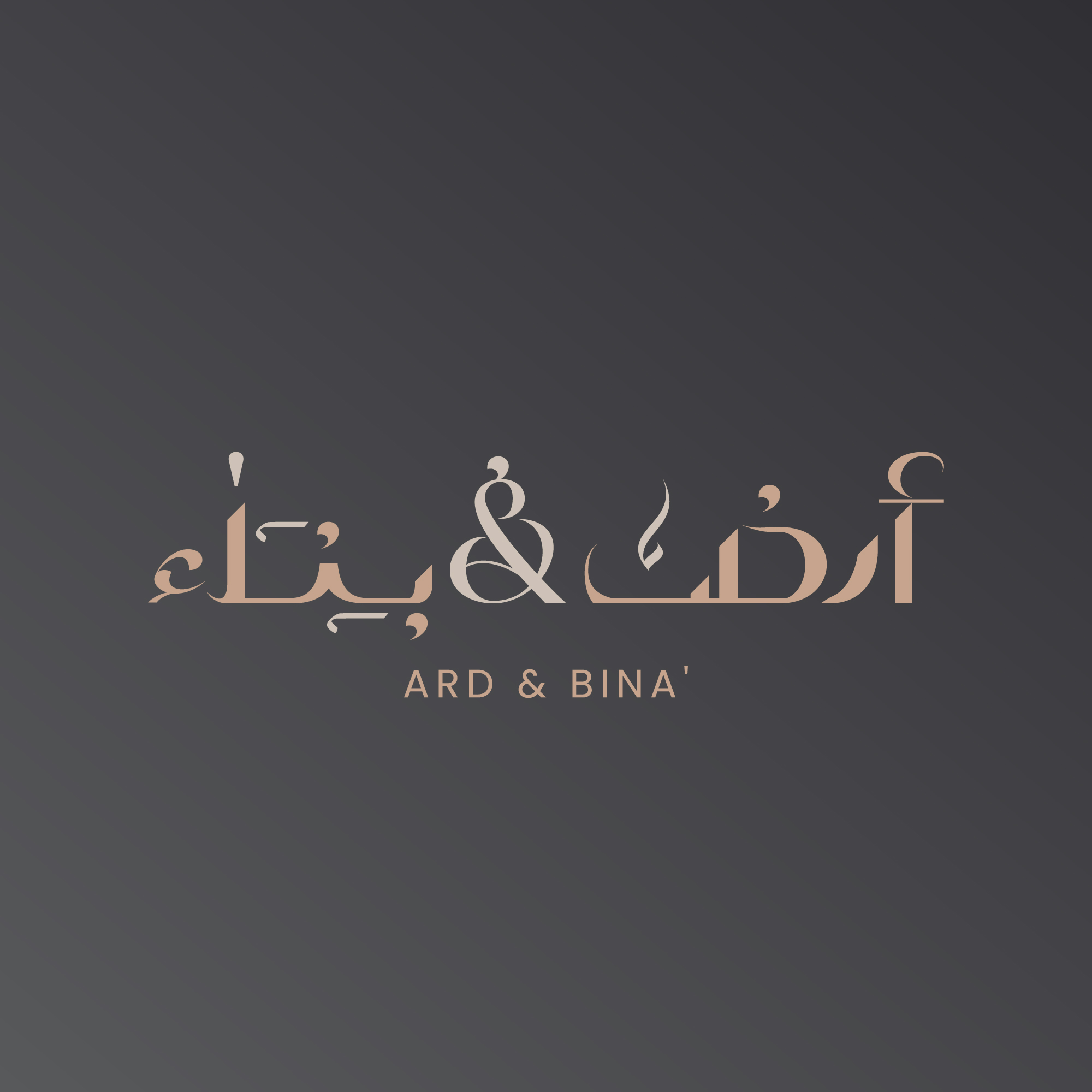 أرض وبناء